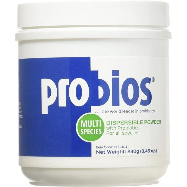 PROBIOS DISPERSI PWDR 240GM