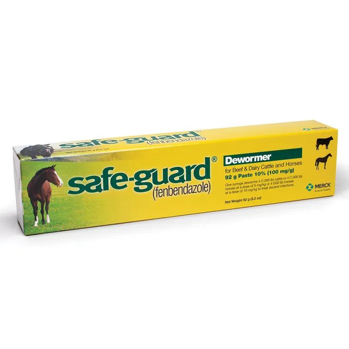 SAFE GUARD PASTE 10% 25GM