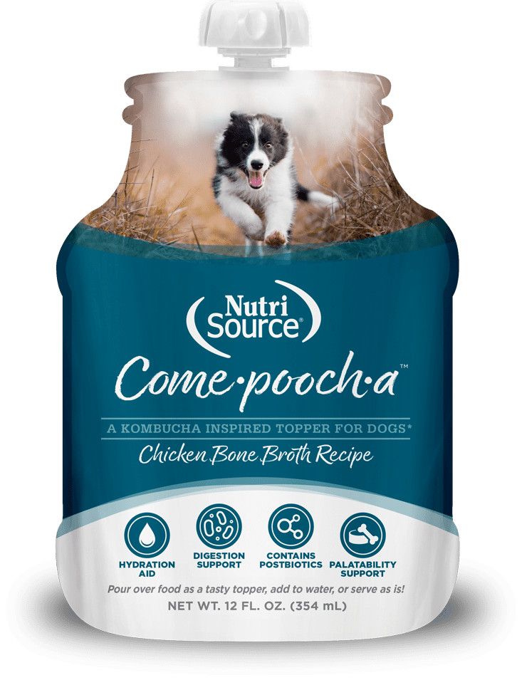 NUTRISOUCE DOG POOCH CHK BRTH 12OZ