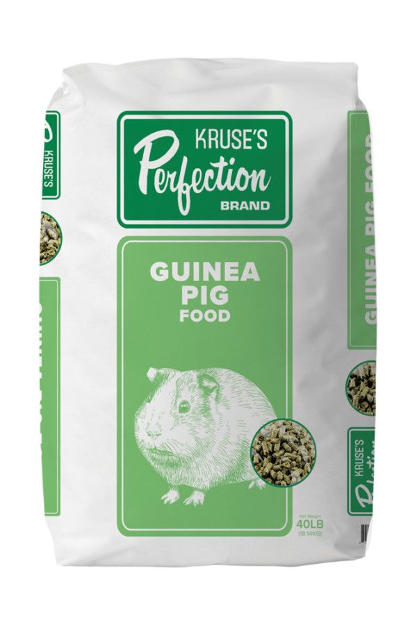 KRUSE GUINEA PIG 40#