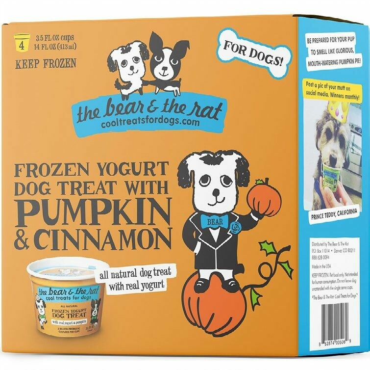 PUMPKIN & CINNAMON - Frozen Yogurt (4PK)