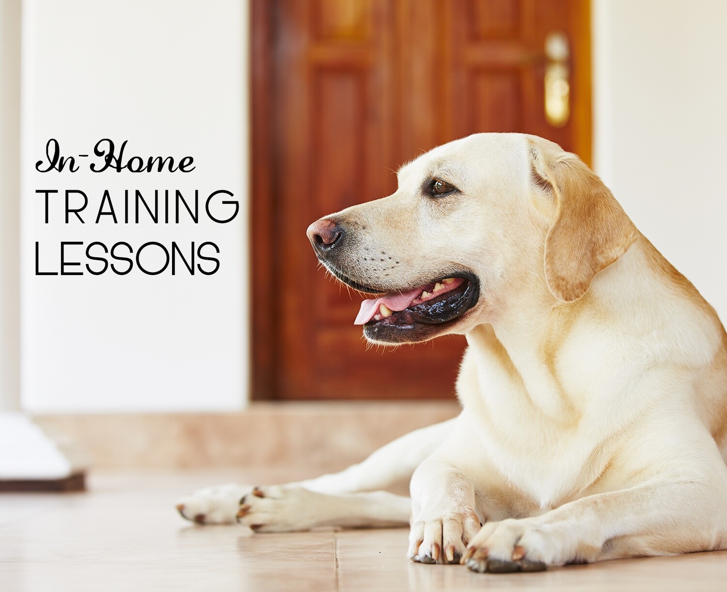 Training Lessons (In-Home)