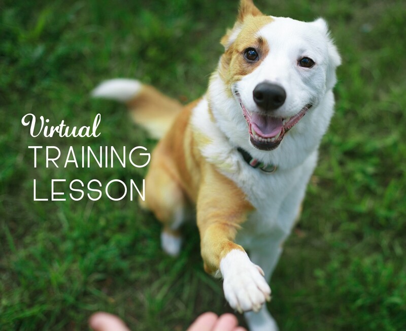 Virtual Training Lesson