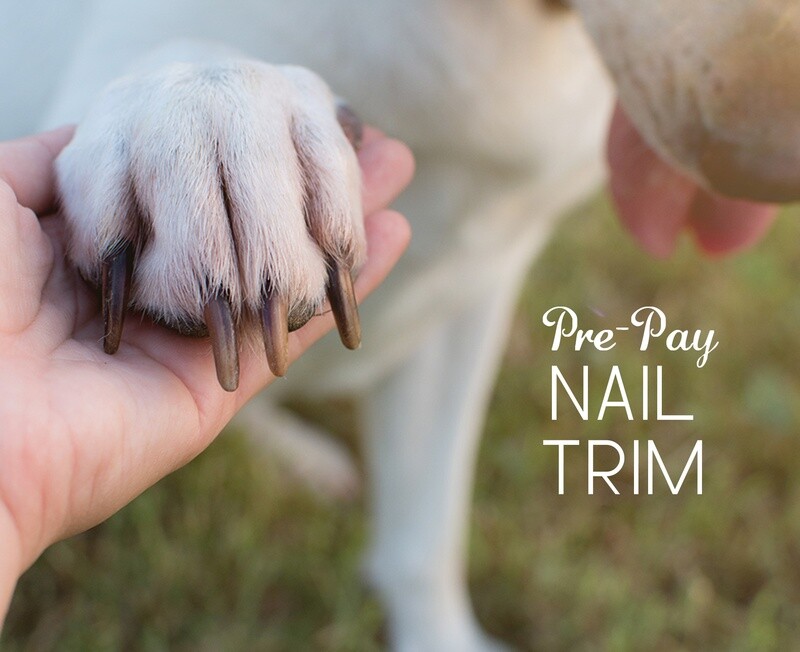 Nail Trim (Pre-pay)