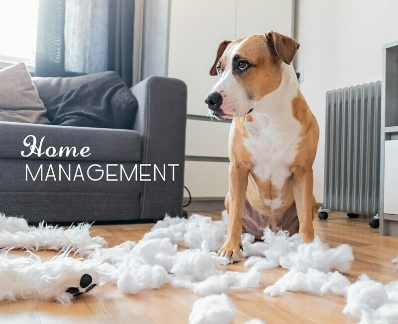 Home Management