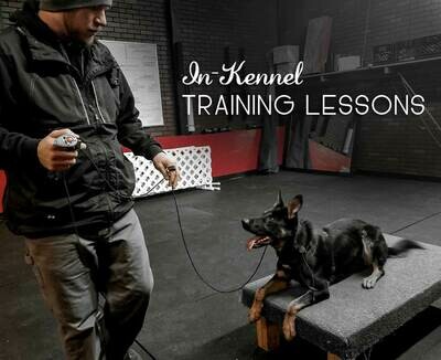 Training Lessons (In-Kennel)
