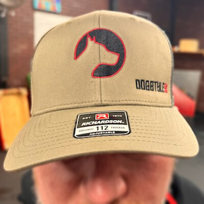 V2 Dogstyle Mesh Snapback Camo Hat