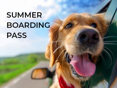 Summer Boarding Pass