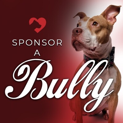 Sponsor a Bully!