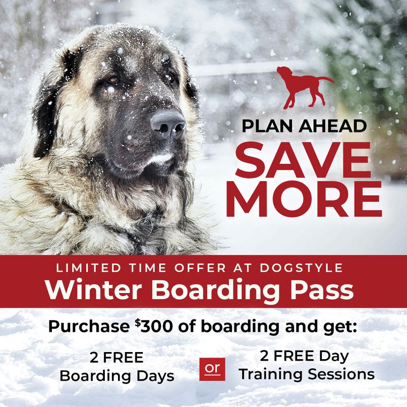 Winter Boarding Pass