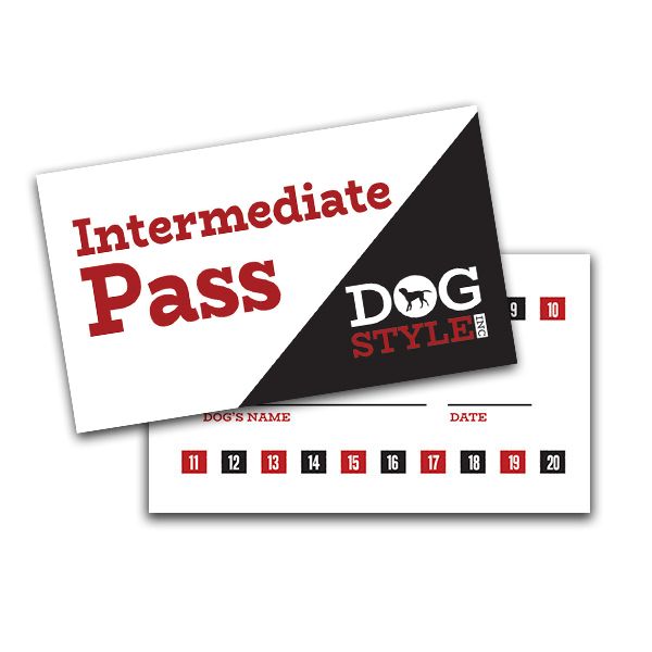 Intermediate Pass