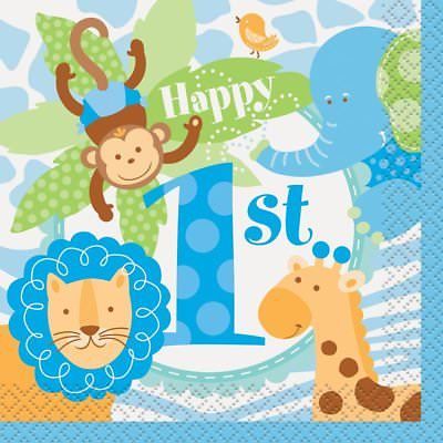 BN 1ST BDAY BLUE SAFARI 1BD 24CT