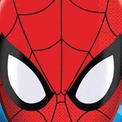 BN SPIDERMAN 16CT