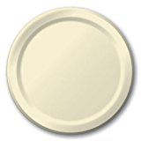 PLT9 SS IVORY  24CT