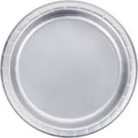 PLT9 SS SHIM SILVER 24CT