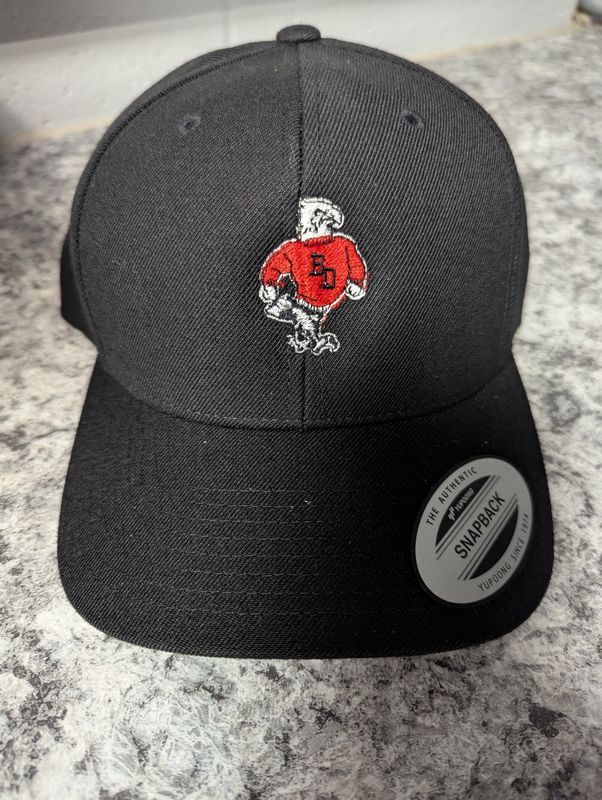 Baseball hat - BD Falcon Snapback
