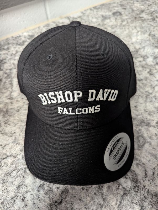 Baseball hat - BD Snapback
