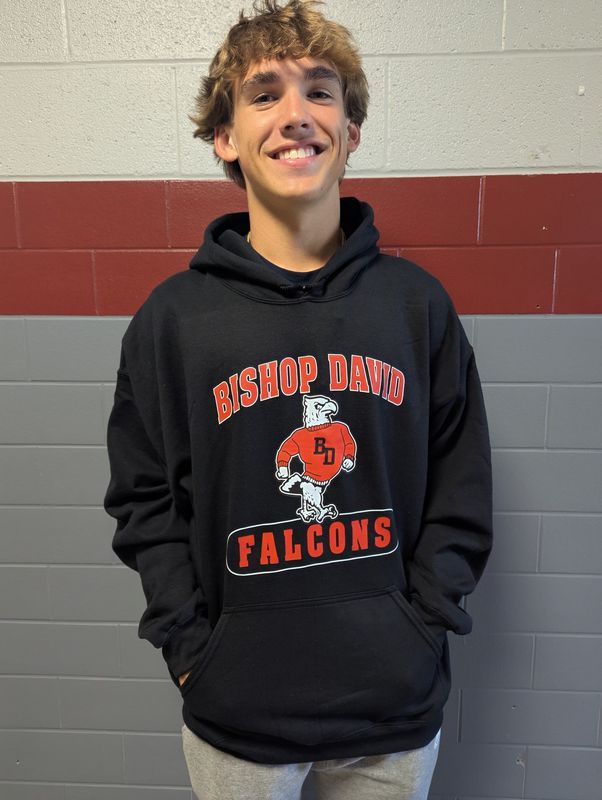 BD Falcons Hoodie