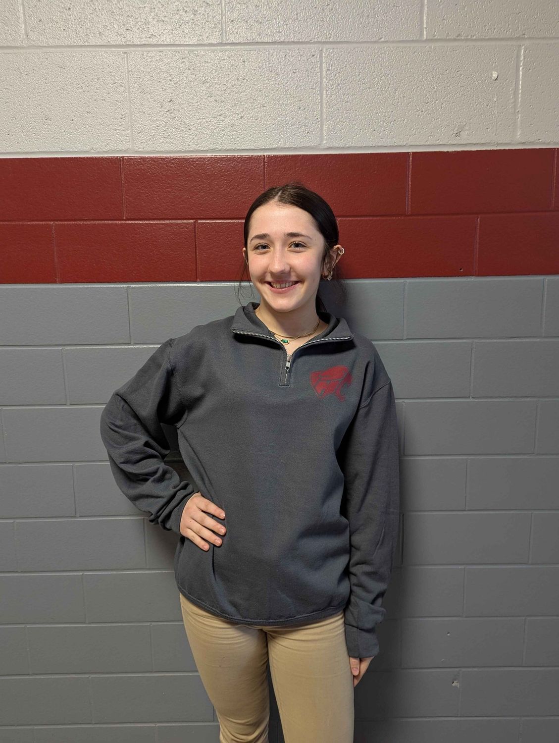 1/4 Zip Pullover Grey, Colour: Drk Grey, Design: Maroon Cougar, Size: Small