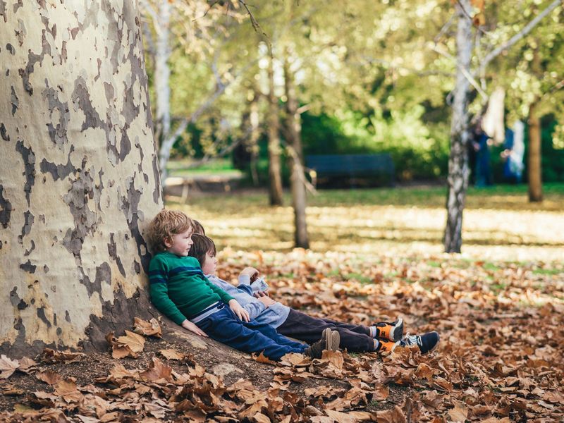 Stark werden wie die Natur (inkl. Elternabend) 20.-22.10.2025