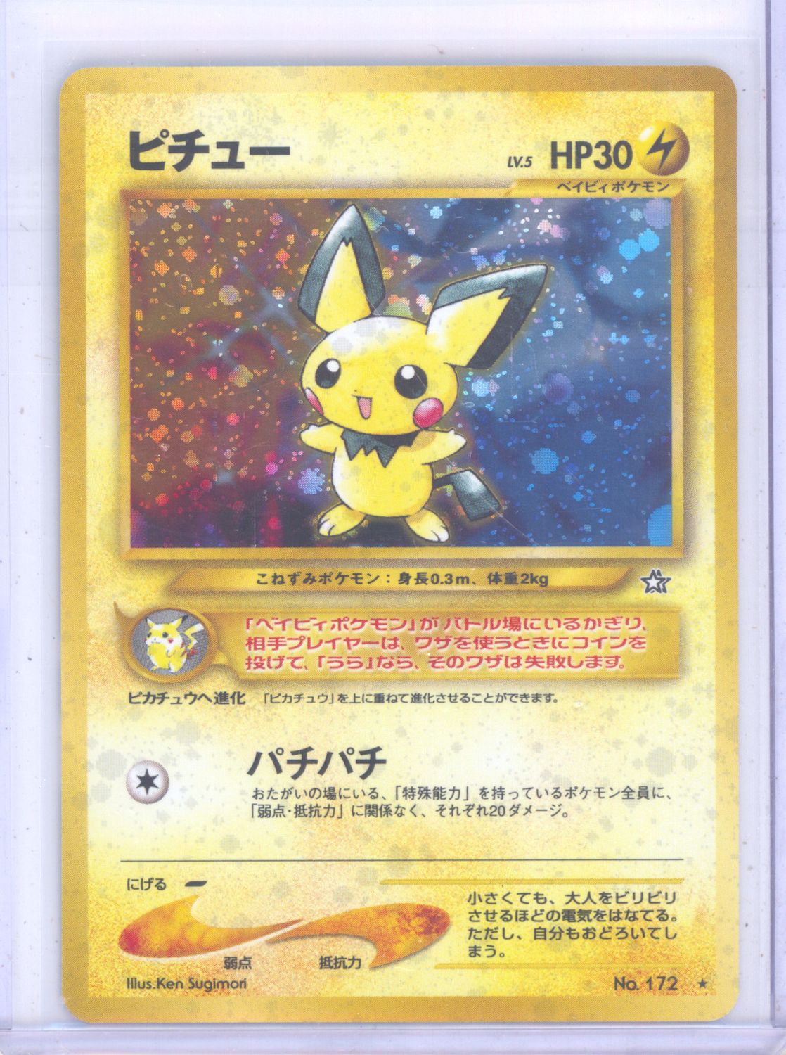 Pichu - Gold, Silver, to a New World... (9/9)