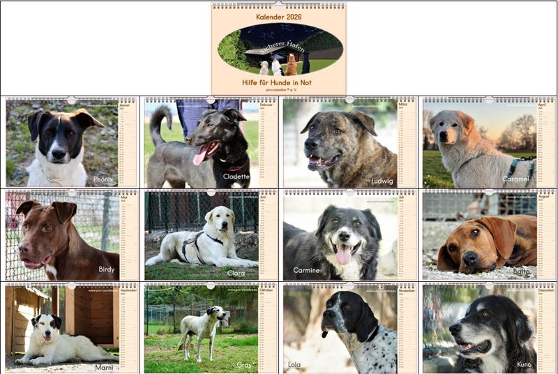 Kalender 2026