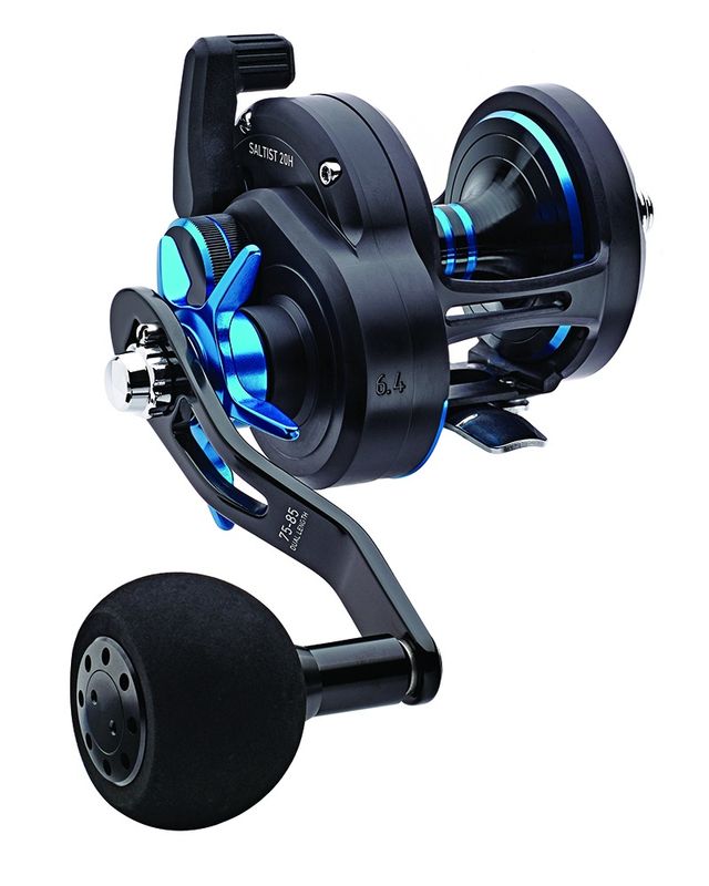 Daiwa Saltish 20H