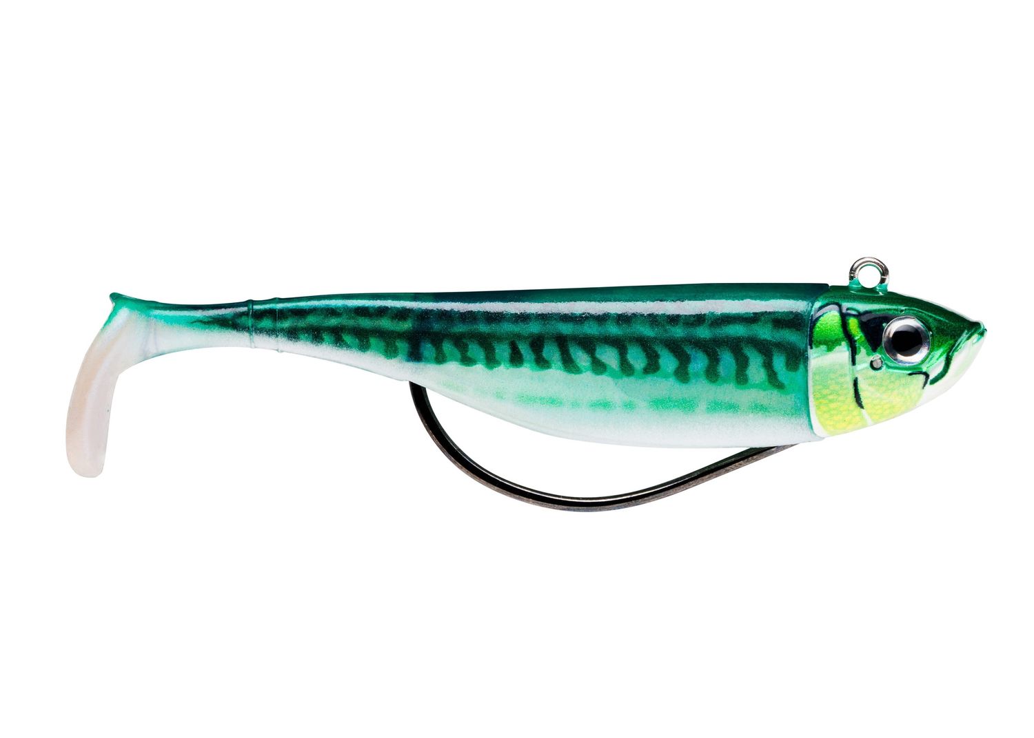 Biscay Shad