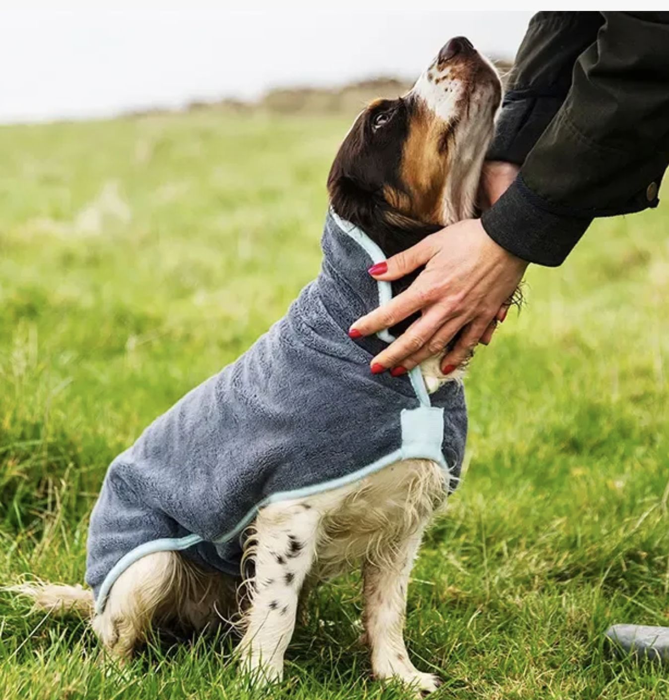 Henry Wag Drying Coat