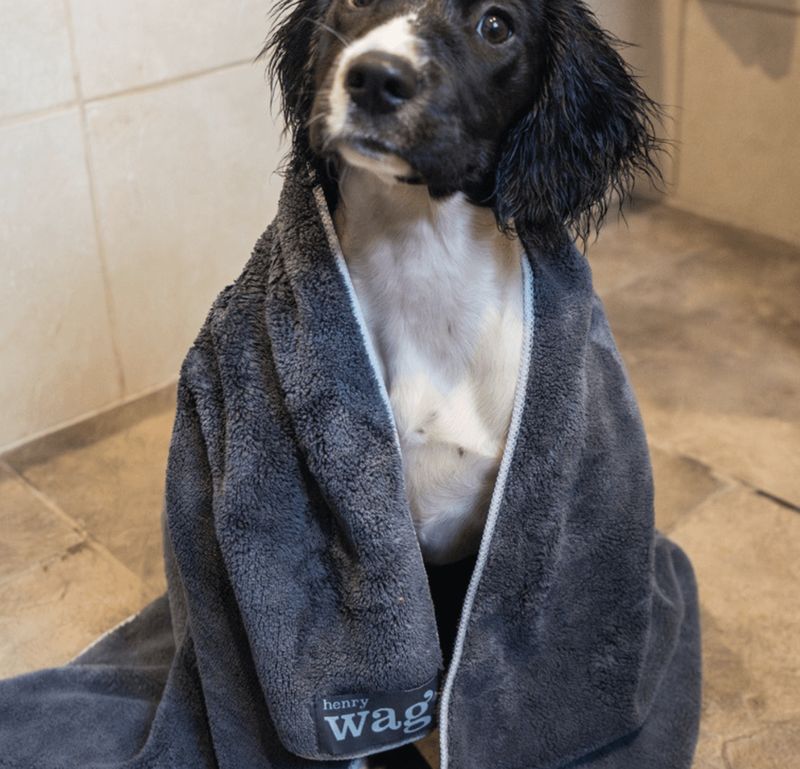 Henry Wag Micro Fibre Cleaning Towel