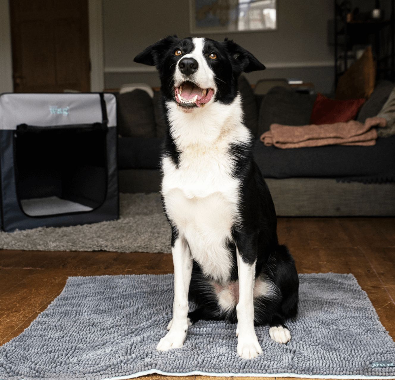 Henry Wag Noodle Pet Mat.