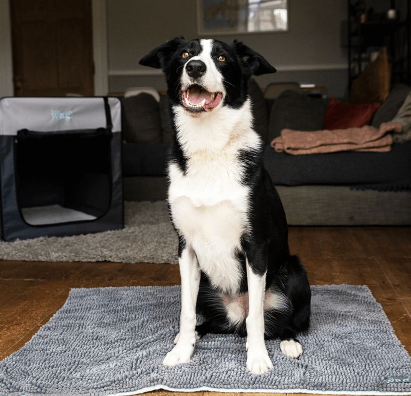 Henry Wag Noodle Pet Mat.