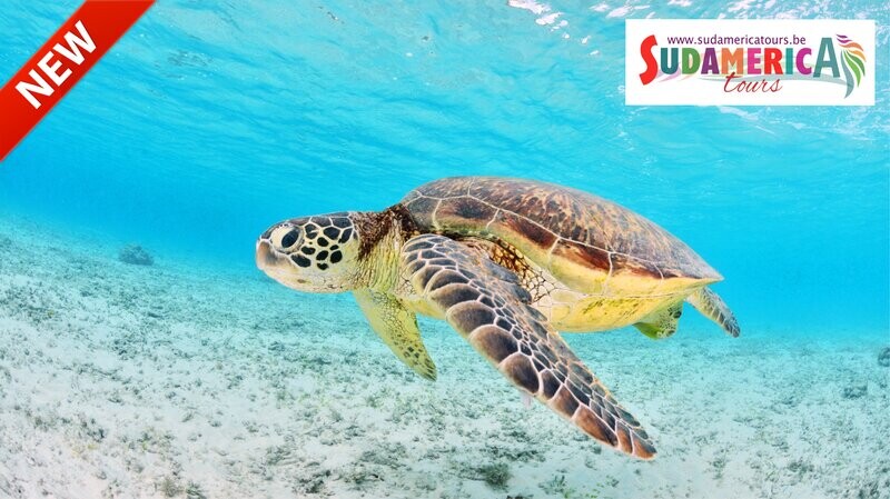 BELIZE - BELIZE 4KIDS - 9 JOURS/7 NUITS