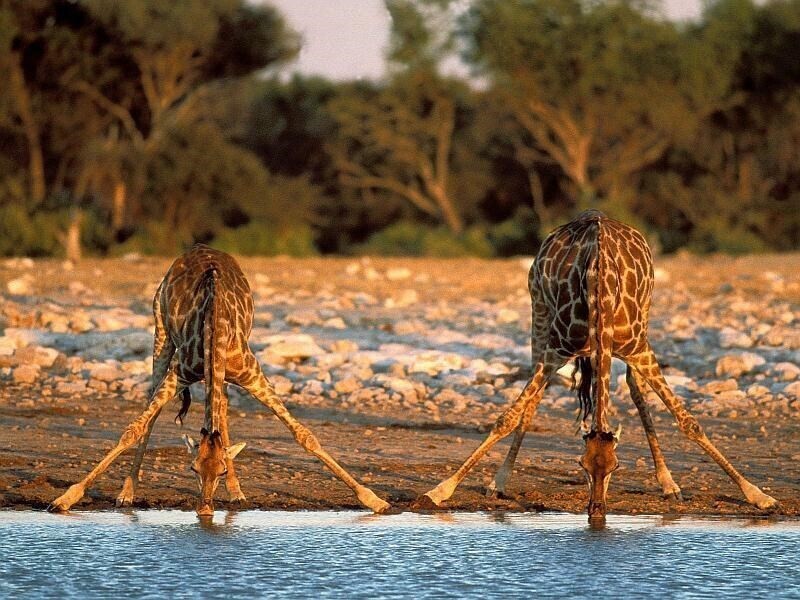NAMIBIE - EXTRAORDINARY NAMIBIA -  13 JOURS (VOYAGE EN VOITURE DE LOCATION)