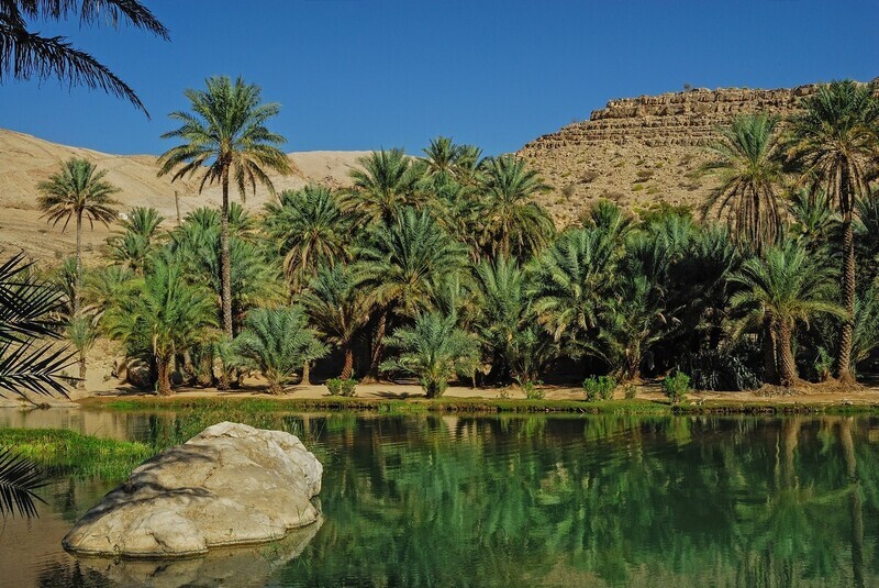 OMAN - MONTAGNES, FORTERESSES ET COTE D&#39;ARABIE
VOYAGE INDIVIDUEL DE  9 JOURS AVEC CHAUFFEUR