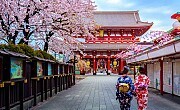 JAPON - LE MUST DU JAPON EN TOUTE LIBERTE