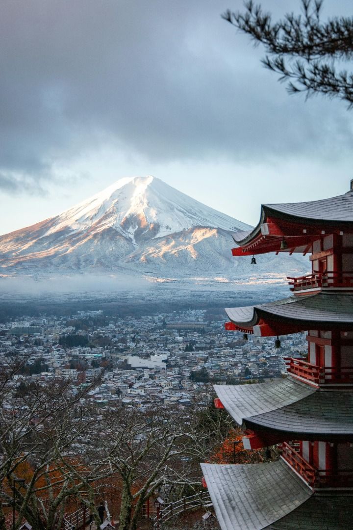 JAPON - TOKYO EN HIVER ***PROMO***