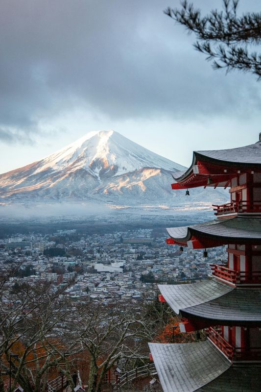 JAPON - TOKYO EN HIVER ***PROMO***