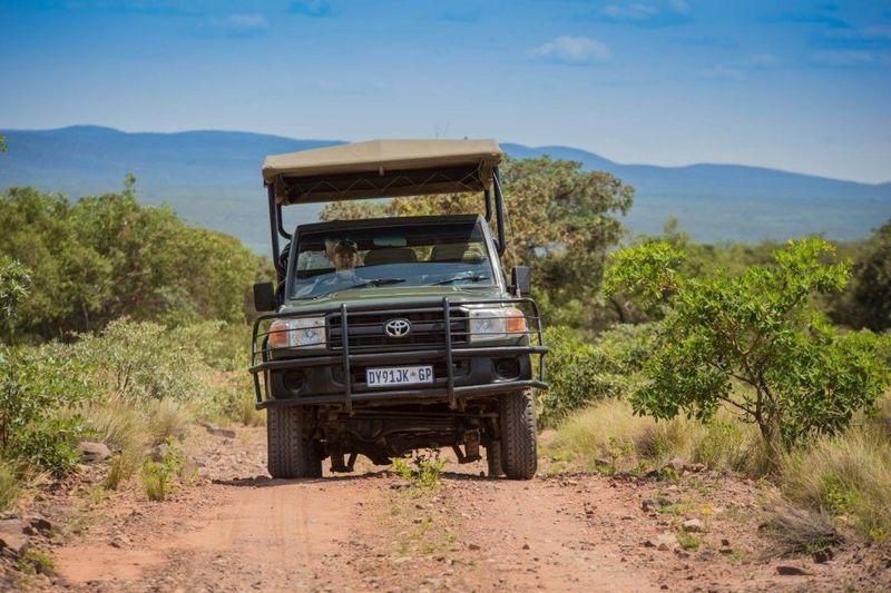 AFRIQUE DU SUD - SAFARI SEBATANA -  8 JOURS (EN GROUPE)