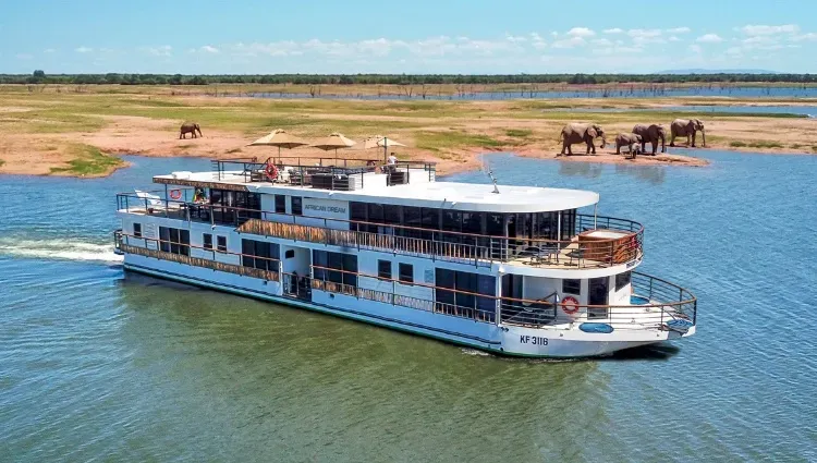 L&#39;AFRIQUE AUSTRALE A BORD DE L&#39;AFRICAN DREAM - 9 jours