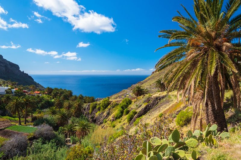 PLAGES &amp; VOLCANS SUR TENERIFE ET LA GOMERA - 12 JOURS