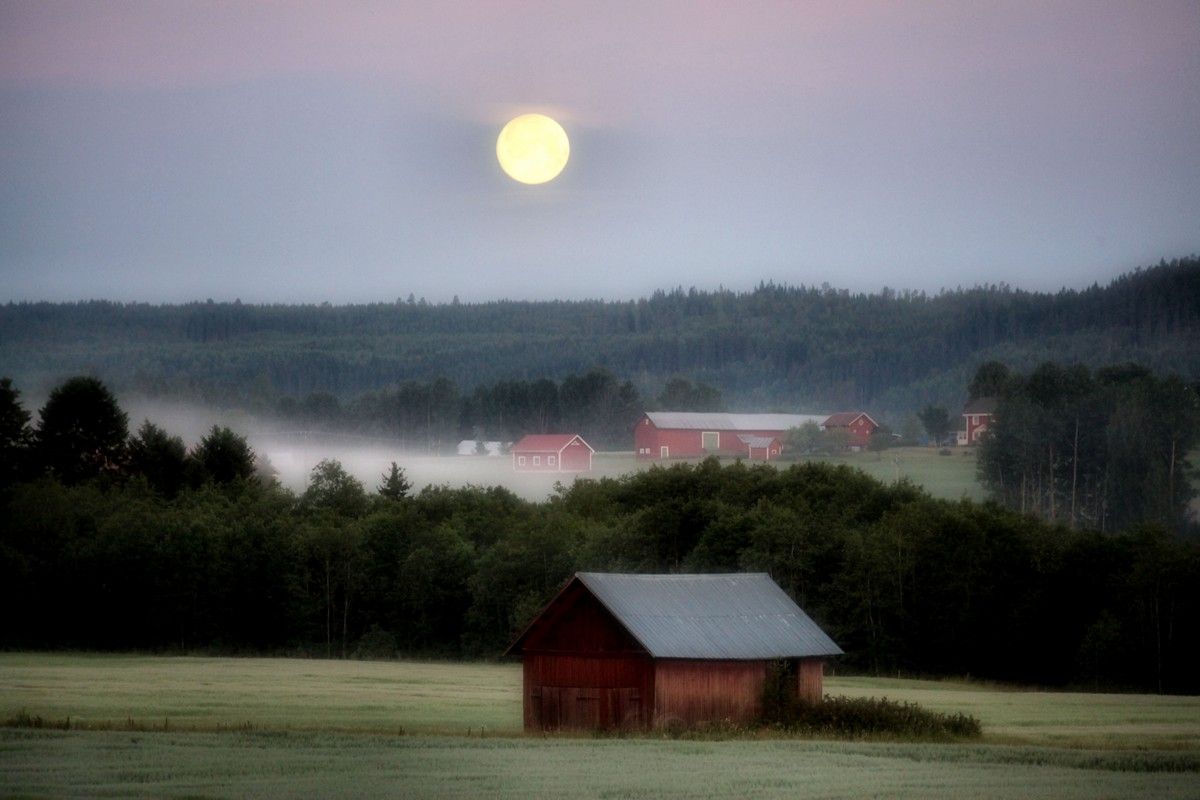 LE DANEMARK 4KIDS - 10 JOURS