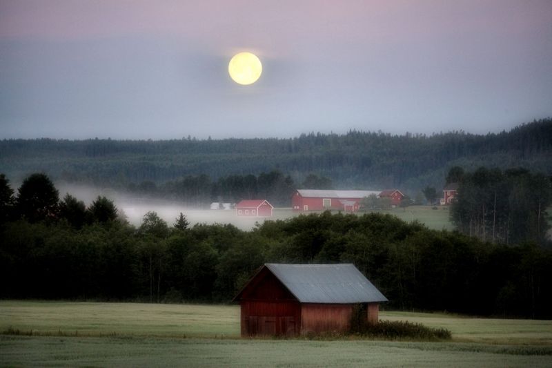 LE DANEMARK 4KIDS - 10 JOURS