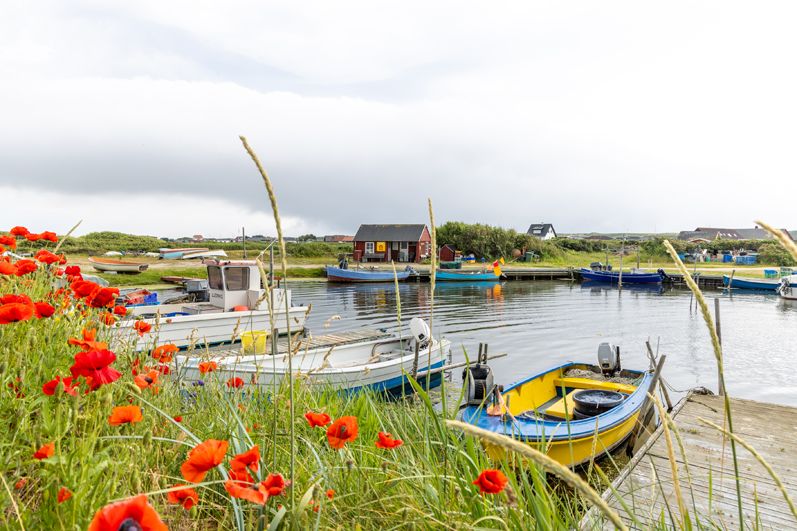 DANEMARK – ​LA BEAUTÉ DU JUTLAND – 12 JOURS