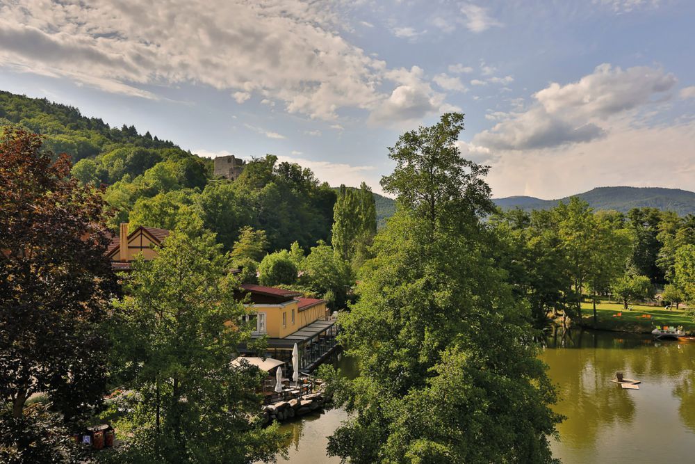 FRANCE - ALSACE - HOTEL LES RIVES ***