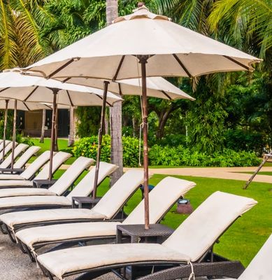 Umbrella and Canopys