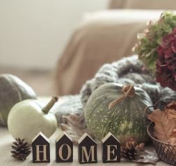 Seasonal Decorations