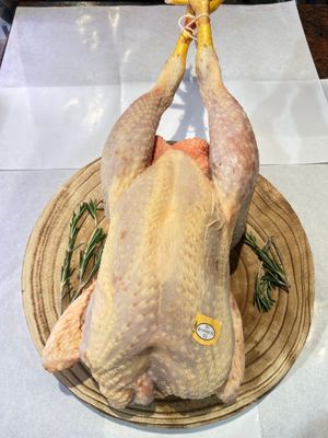 Pollo en dieciseiavos
