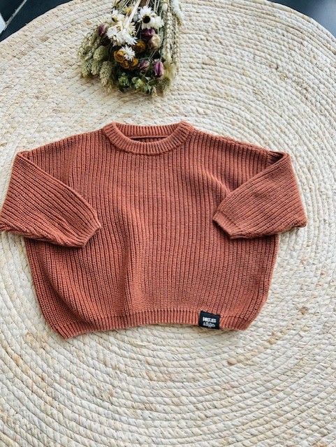 Trui Boefjes&Bijtjes. Maat 86 Trui Boefjes&Bijtjes. Maat 86