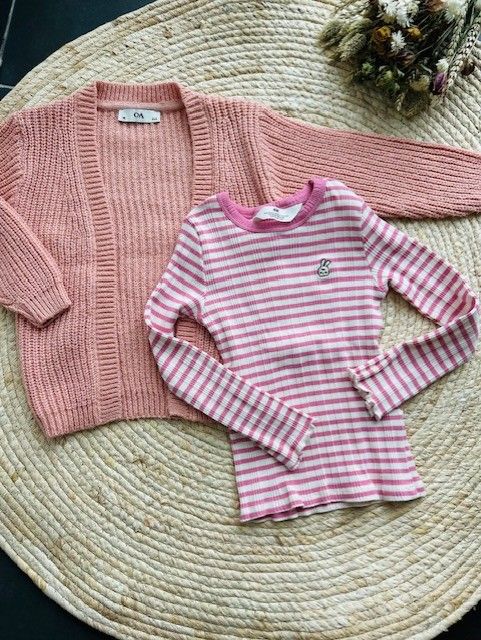 Vestje C&A en longsleeve H&M. Maat 110 Vestje C&A en longsleeve H&M. Maat 110